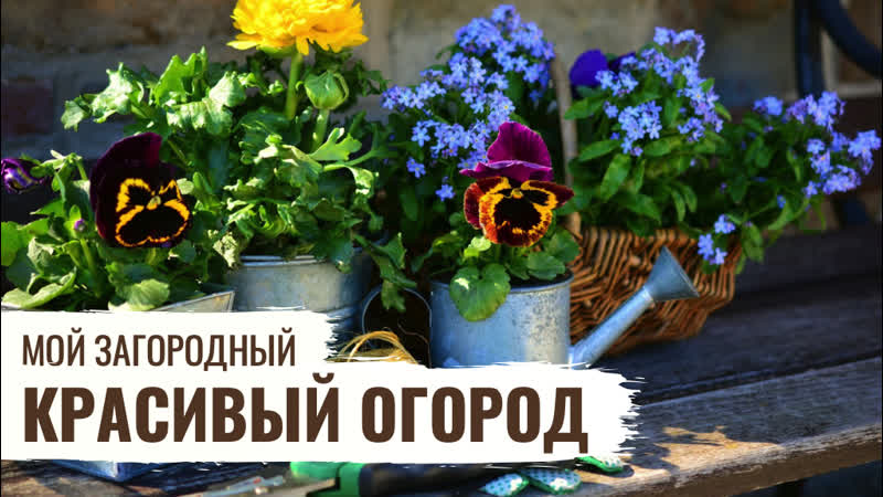 Красивый огород // мой загородный