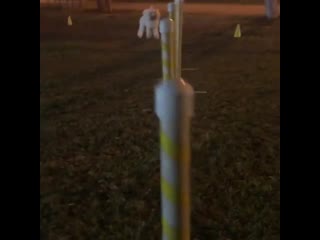 Kickin’ the cameraman off of my stages, cause i don’t like how he snappin my angles