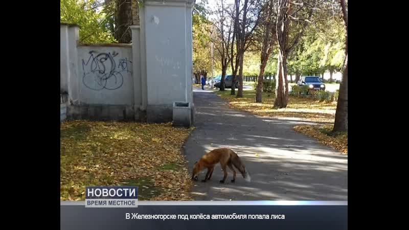 Дикое соседство