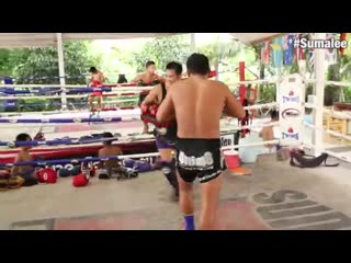 2 rounds muay thai padwork with deachkalon sumalee khru cartoon