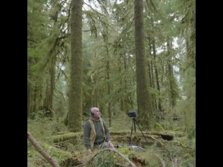 Katta eski kokrak porno