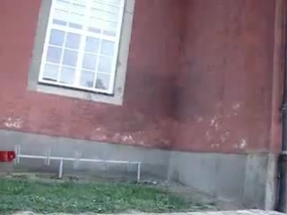 Rash wallflip паркур