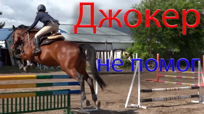 Лошадь с наездницей не удержали преимущество