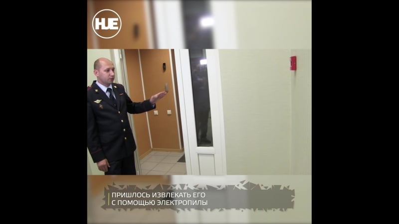 Омские полицейские спасли котёнка и нашли ему хозяйку