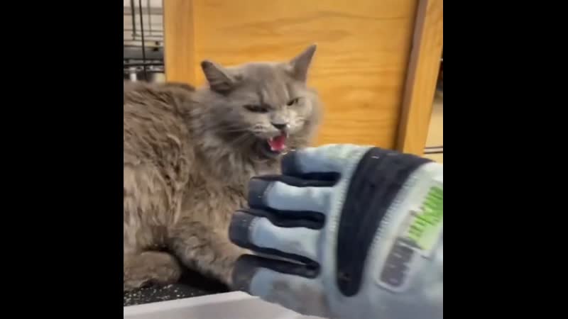 Добро способно чудеса творить