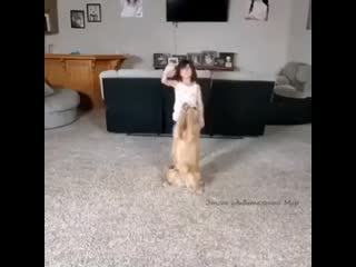 Домашнее шоу талантов😃