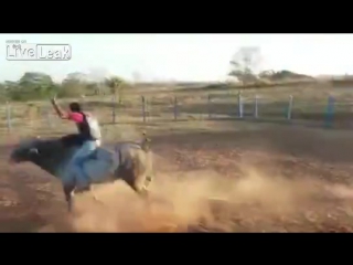 Бык ушатал ковбоя