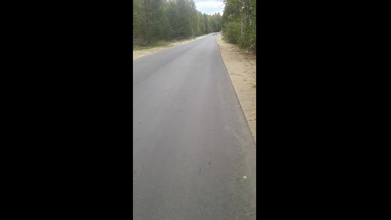 Техническая тренироа