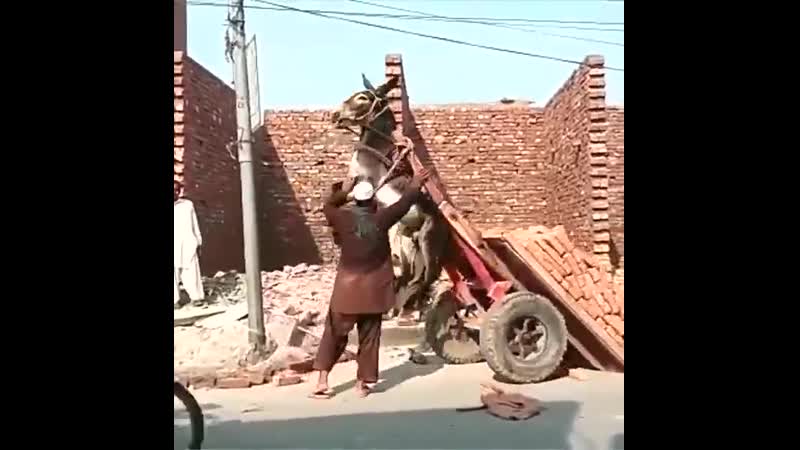 С функцией самосвал mp4