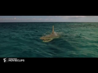 Best scene you got im jaws the revenge (3/8)