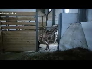 Моника насева молодые в городе / monika naseva zvirata ve meste ( 1989 )