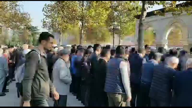 Дала декъал войла хьо шайх ахьмад хьамза