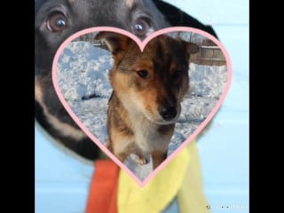 Slideshow 233 20180409 9mhqez mp4