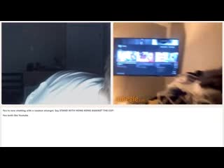 [lukeafk] cute cat jumpscare trolling on omegle