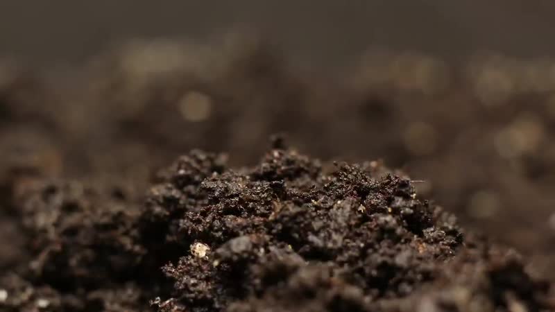 Gra viy вера(official video)