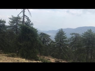 Прекрати ныть начинай делать