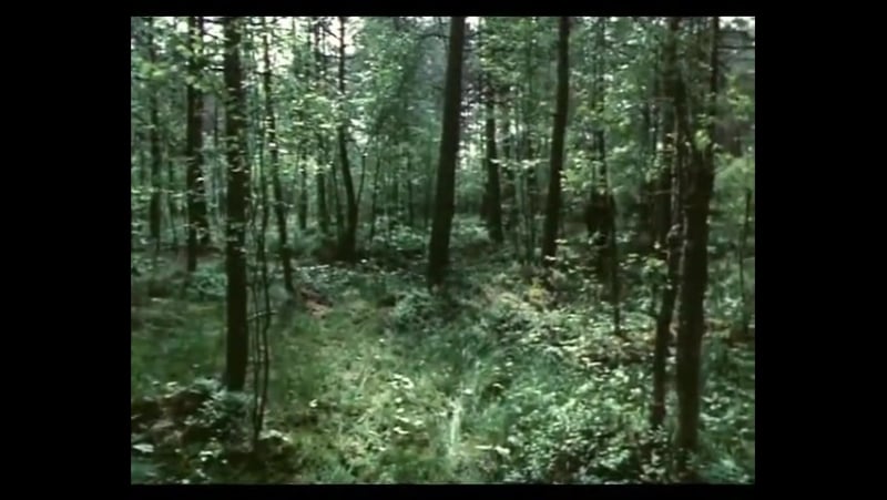 «плач перепёлки» (1990) военный, реж игорь добролюбов