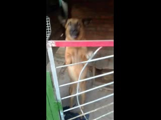 Vid 20200921 173044 mp4