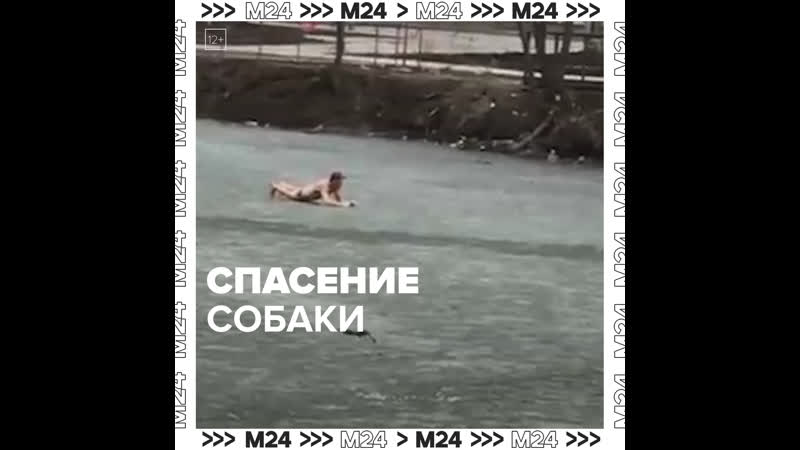 Мужчина спас собаку из проруби в нагатинском затоне москва 24