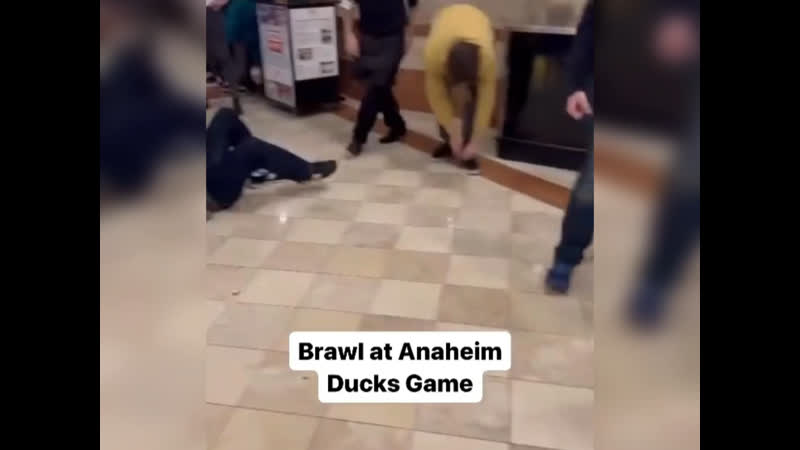 Анахаймские утки анахайм калифорния