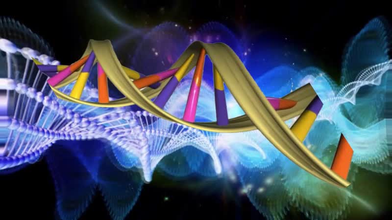 Активация твоей генетики часть 1