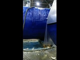 V 20200320 045412 sm n0 mp4