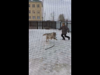 Данис,white and ed sheeran😜🎸 снимают стресс после уроков!)