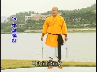 Nunchakus double hand song thủ lưỡng tiết côn (nhị khúc)