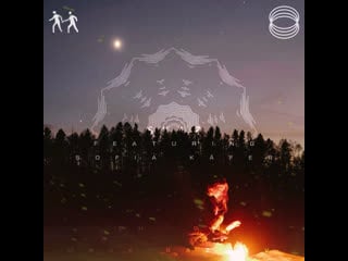 Zakladki x sofia käfer skaz