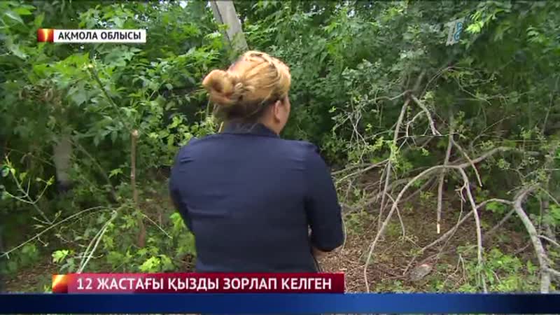 12 жастағы қызды үш жігіт жарты жыл бойы зорлап келген