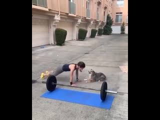 Тренироа с пёселем nhtybhjdrf c g`ctktv nhtybhjdrf c g`ctktv nhtybhjdrf c g`ctktv nhtybhjdrf c g`ctktv nhtybhjdrf c g`ctktv nh