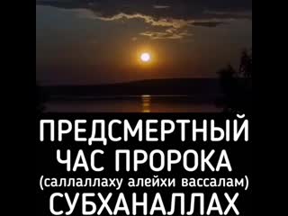 Muslim dnevnik 20200713 3 mp4