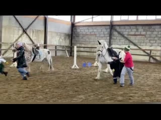 Видео от рыжая лошадь | кск | хакасия