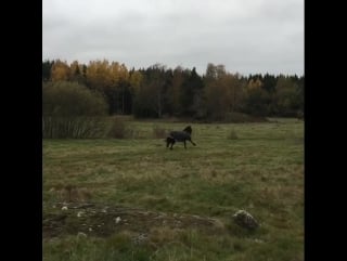 Maaike was so happy to get back to her friends after our photoshoot! ❤️❤️