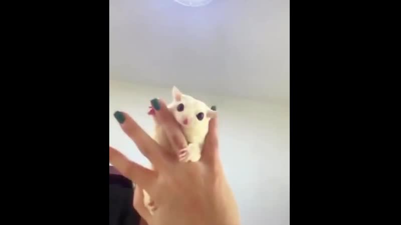 Hе lоvеs his mоmma