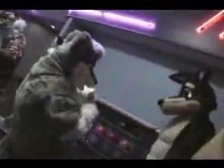 Fursuit bowling night