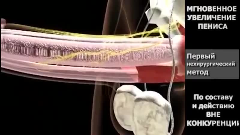 За месяц член вырос на 5 см причем в ширину тоже стал немного больше