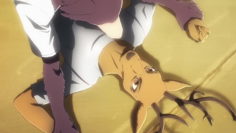 [takeover] beastars 08 | выдающиеся звери s01 ep08 русская озвучка [gar&esmeralda]