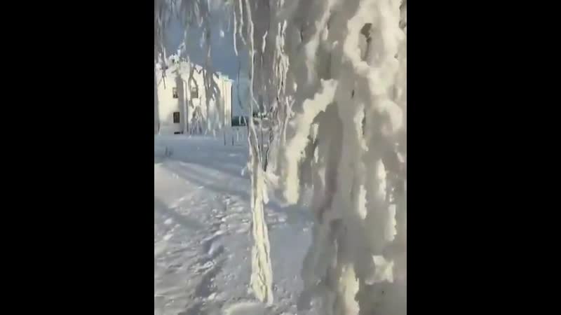 Настоящая лютая русская зима😁 🥶🥶🥶