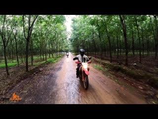 Motorcycling through a rubber tree plantation is a very unique experience in southern vietnam 📌