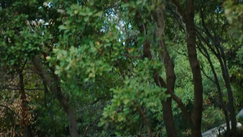 Erkenci kuş 12 bölüm ben sana aşık