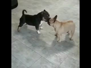 Synchronized fake outs