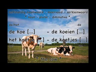 Learn dutch porn dutch lessons dieren nederlands leren learning dutch