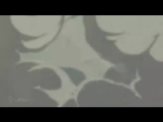 Адепт святого знака / seikon no qwaser 1 сезон (13 18 серии)