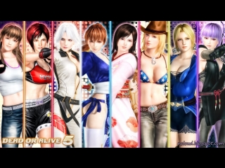 Dead or alive 5 | чайный мордобой 5 | cybstorm