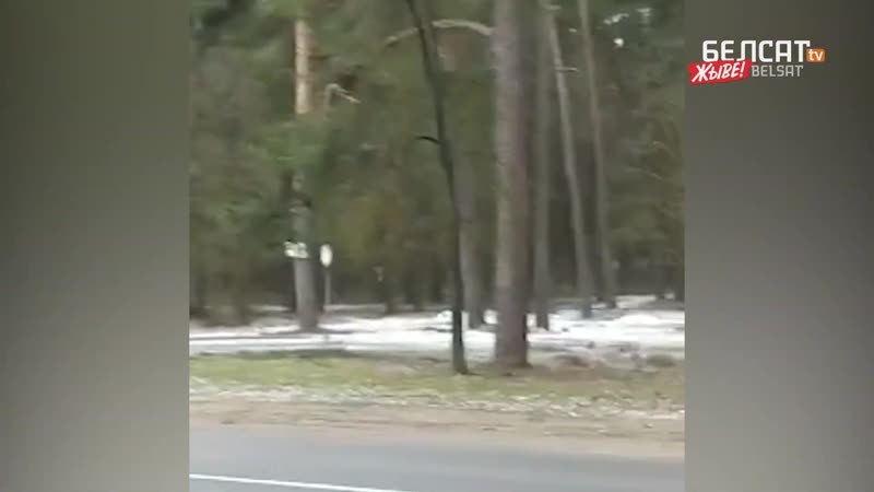 Полная боевая готовность к приезду нелегитимного