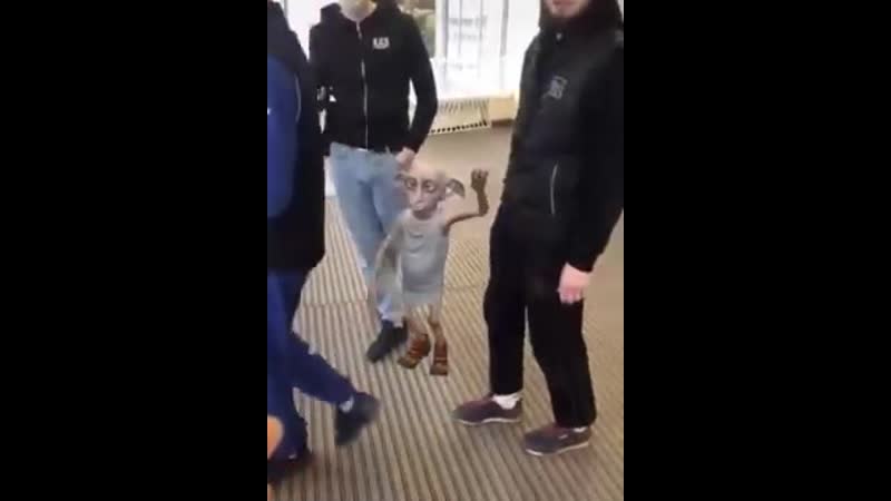 Доби танцует