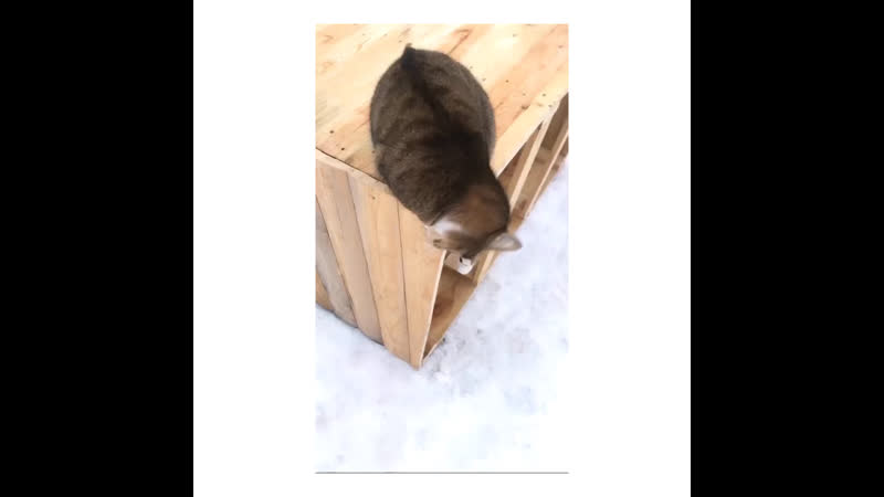 Красавица глаша💕