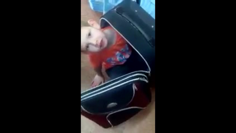 Скучная жизнь лучше в чемодане сидеть