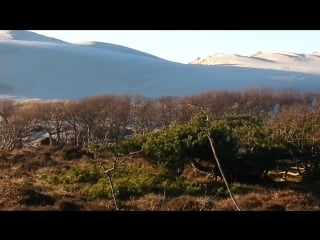 Sahara achtige schoonheid duin sahara like beauty bergen aan zee 06 february 6th 2018